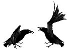 Imagen-animada-Cuervo-10.gif