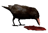 Imagen-animada-Cuervo-24.gif