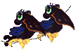 Imagen-animada-Cuervo-29.gif