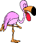 Imagen-animada-Flamenco-02.gif