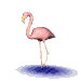 Imagen-animada-Flamenco-05.gif