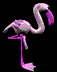 Imagen-animada-Flamenco-06.gif