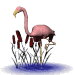 Imagen-animada-Flamenco-09.gif