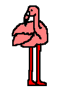Imagen-animada-Flamenco-11.gif