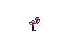 Imagen-animada-Flamenco-12.gif