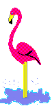 Imagen-animada-Flamenco-14.gif