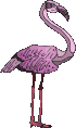 Imagen-animada-Flamenco-17.gif