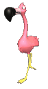 Imagen-animada-Flamenco-21.gif