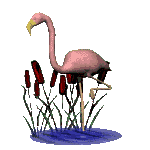 Imagen-animada-Flamenco-27.gif