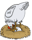 Imagen-animada-Gallina-11.gif