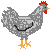Imagen-animada-Gallo-01.gif