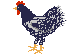 Imagen-animada-Gallo-03.gif