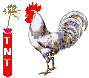 Imagen-animada-Gallo-18.gif