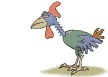 Imagen-animada-Gallo-24.gif