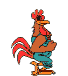 Imagen-animada-Gallo-26.gif