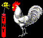 Imagen-animada-Gallo-28.gif