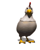 Imagen-animada-Gallo-35.gif