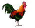 Imagen-animada-Gallo-39.gif