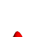 Imagen-animada-Gallo-40.gif