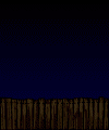 Imagen-animada-Gallo-50.gif