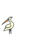 Imagen-animada-Garza-02.gif