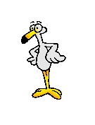 Imagen-animada-Garza-03.gif