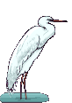 Imagen-animada-Garza-04.gif