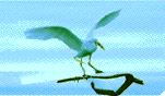 Imagen-animada-Garza-05.gif
