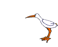 Imagen-animada-Garza-06.gif