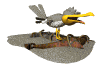 Imagen-animada-Gaviota-01.gif