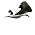 Imagen-animada-Gaviota-02.gif