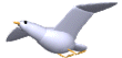 Imagen-animada-Gaviota-08.gif