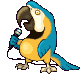Imagen-animada-Guacamallo-03.gif