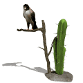 Imagen-animada-Halcon-01.gif