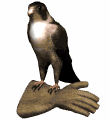 Imagen-animada-Halcon-02.gif