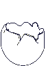 Imagen-animada-Huevo-01.gif
