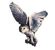 Imagen-animada-Lechuza-27.gif