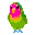 Imagen-animada-Loro-01.gif