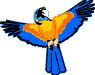 Imagen-animada-Loro-02.gif
