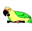 Imagen-animada-Loro-03.gif