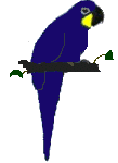 Imagen-animada-Loro-06.gif