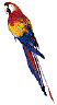 Imagen-animada-Loro-08.gif
