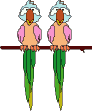 Imagen-animada-Loro-11.gif