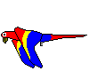 Imagen-animada-Loro-15.gif