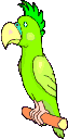 Imagen-animada-Loro-17.gif