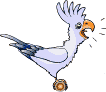 Imagen-animada-Loro-21.gif