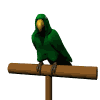 Imagen-animada-Loro-22.gif