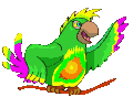 Imagen-animada-Loro-24.gif