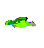 Imagen-animada-Loro-30.gif