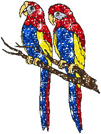 Imagen-animada-Loro-33.gif
